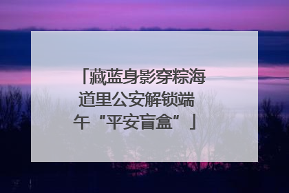 藏蓝身影穿粽海 道里公安解锁端午“平安盲盒”